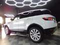 Land Rover Range Rover Evoque 2.2 Td4 Pure Meridian/Pano/Xe Weiß - thumbnail 8