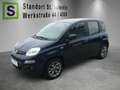 Fiat Panda PANDA Lounge 1,2 8V Blau - thumbnail 1