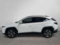 Hyundai TUCSON 1.6 TGDI HEV 169KW STYLE AUTO 230 5P - thumbnail 7