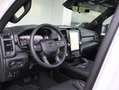 Dodge RAM 1500 5.7 V8 4x4 Crew Cab Limited | Pano | elektris Wit - thumbnail 8