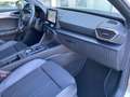 CUPRA Leon 1.5 Hybrid 150CV DSG Bianco - thumbnail 14