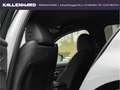 BMW 320 i M Sport-ACC-Sitzheizung-Kamera-Hifi Gris - thumbnail 18