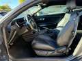 Ford Mustang FASTBACK 5.0 V8 GT 450Ch BM Francaise Gris - thumbnail 8