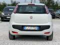 Fiat Punto 5p 1.2 Classic “Ok Neopatentati” Bianco - thumbnail 5