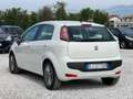 Fiat Punto 5p 1.2 Classic “Ok Neopatentati” Blanco - thumbnail 4