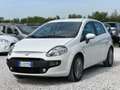 Fiat Punto 5p 1.2 Classic “Ok Neopatentati” Blanco - thumbnail 3