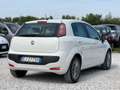 Fiat Punto 5p 1.2 Classic “Ok Neopatentati” Bianco - thumbnail 6