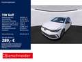 Volkswagen Golf GTI Golf 8 GTI 2.0 TSI DSG Black Style 18 ACC NAVI C Weiß - thumbnail 1