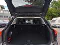 Ford Focus Titanium Style 125PS,*Neues Modell*, LED, Tempomat,..* Grau - thumbnail 12