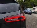 Ford Focus Titanium Style 125PS,*Neues Modell*, LED, Tempomat,..* Grau - thumbnail 6