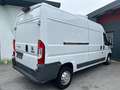 Fiat Ducato Ducato 33 L3H2 150 *Navi*RFKamera*Tempomat* Weiß - thumbnail 6