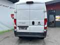 Fiat Ducato Ducato 33 L3H2 150 *Navi*RFKamera*Tempomat* Weiß - thumbnail 5