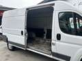 Fiat Ducato Ducato 33 L3H2 150 *Navi*RFKamera*Tempomat* Weiß - thumbnail 13