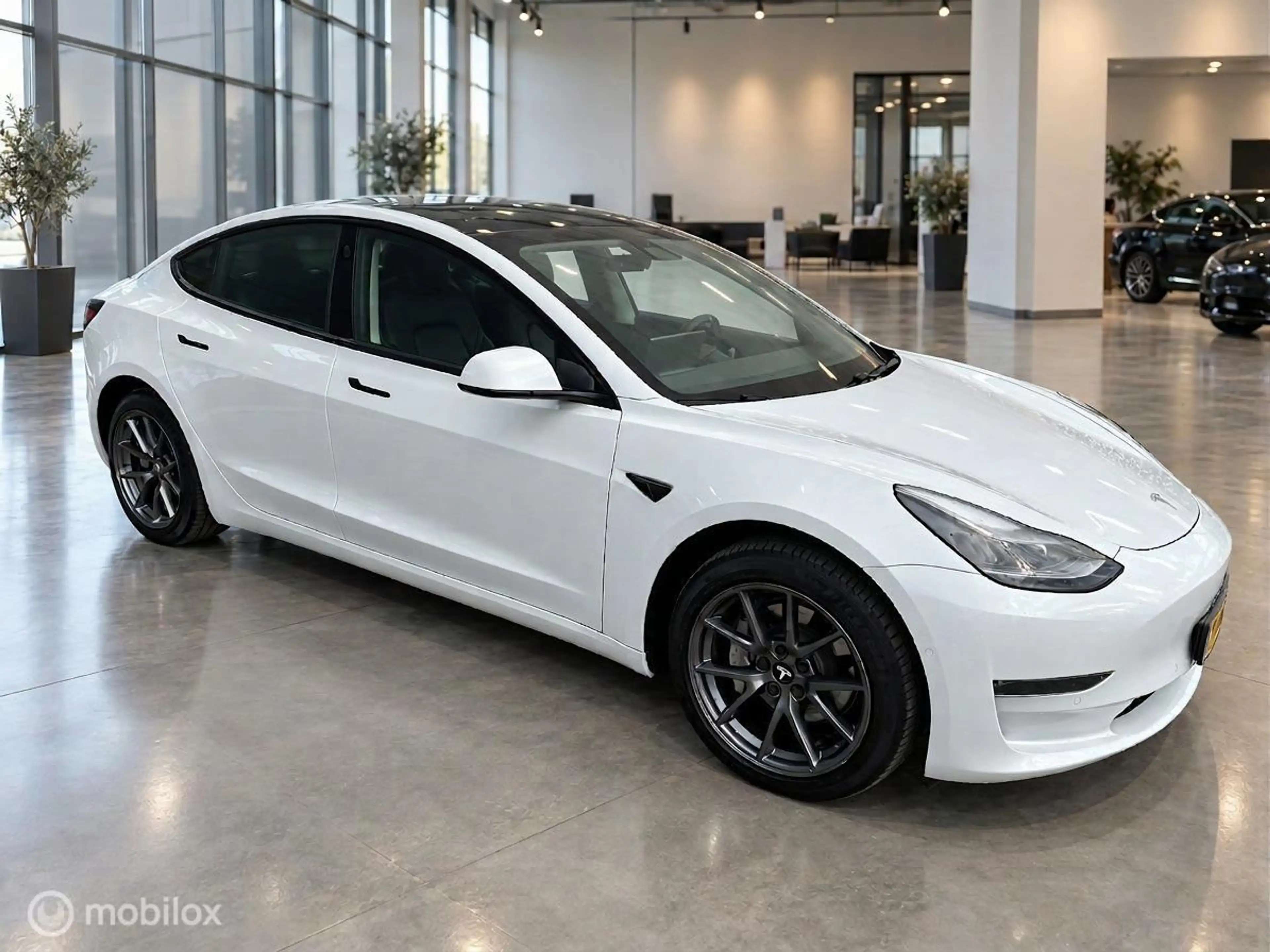 Tesla Model 3 Long Range AWD 75 kWh | DUAL MOTOR | TREKHAAK 1.00 — photo 7