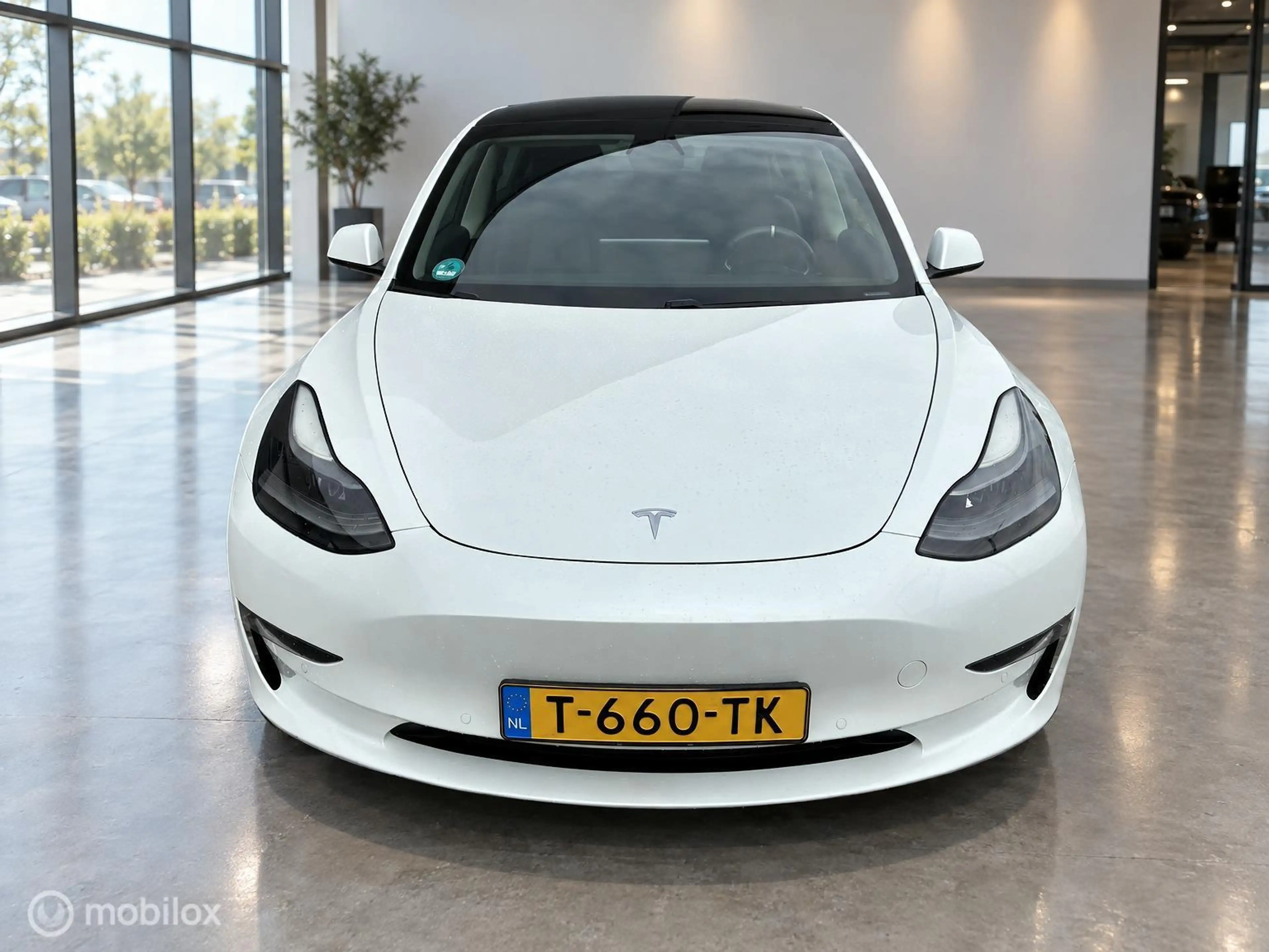 Tesla Model 3 Long Range AWD 75 kWh | DUAL MOTOR | TREKHAAK 1.00 — photo 9