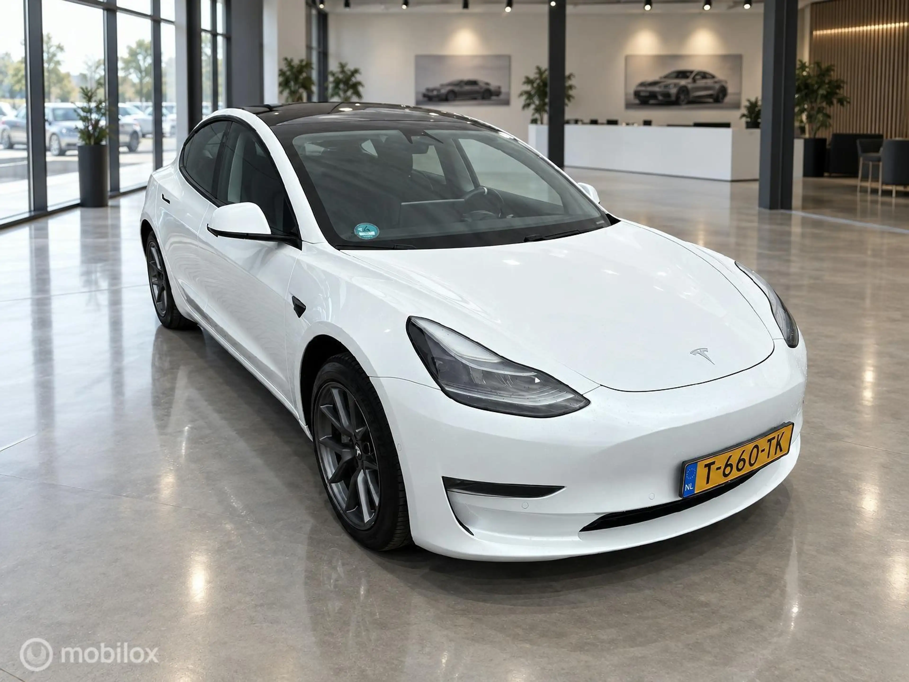 Tesla Model 3 Long Range AWD 75 kWh | DUAL MOTOR | TREKHAAK 1.00 — photo 8