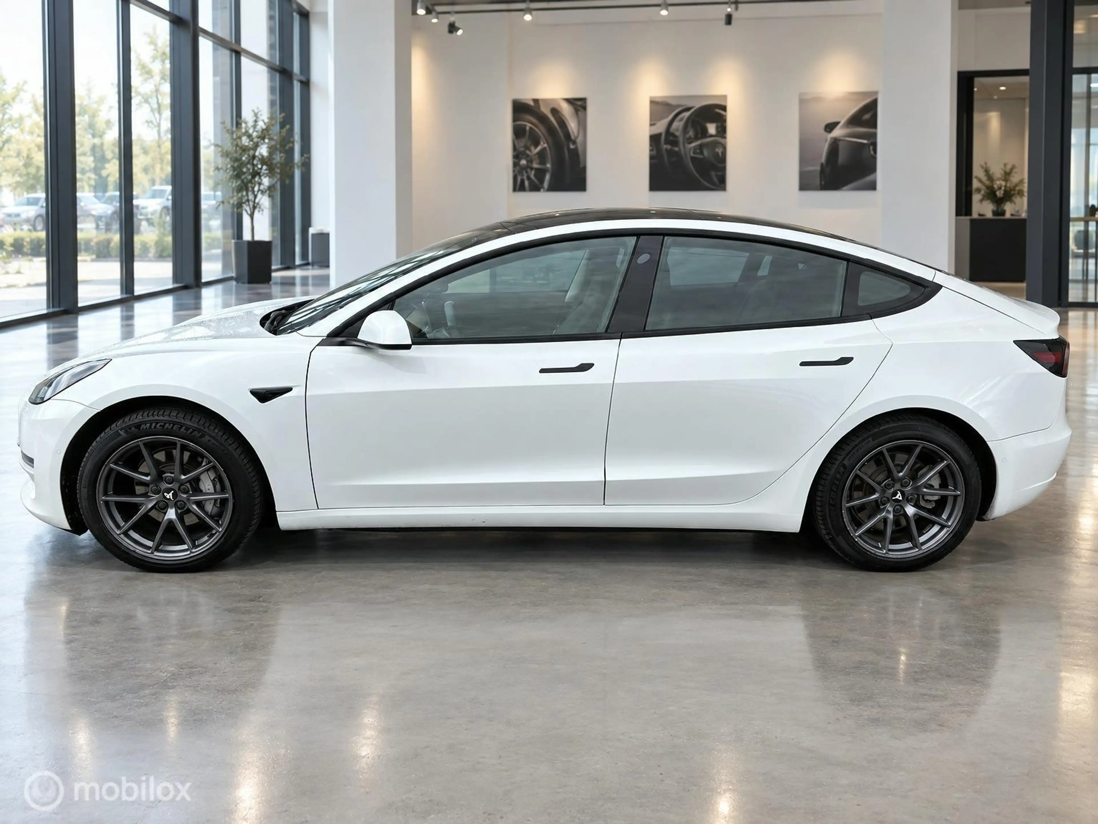 Tesla Model 3 Long Range AWD 75 kWh | DUAL MOTOR | TREKHAAK 1.00 — photo 4