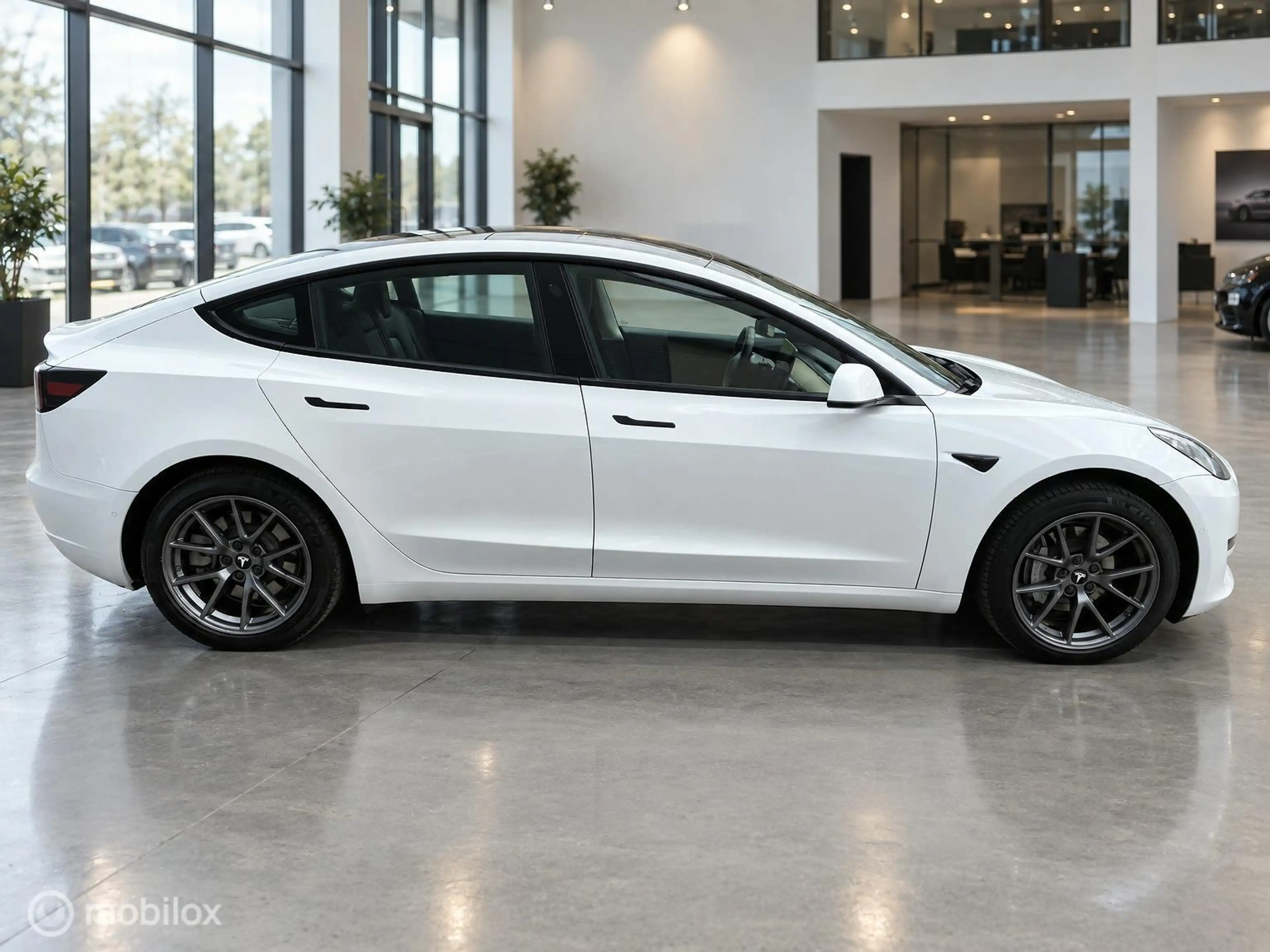 Tesla Model 3 Long Range AWD 75 kWh | DUAL MOTOR | TREKHAAK 1.00 — photo 6