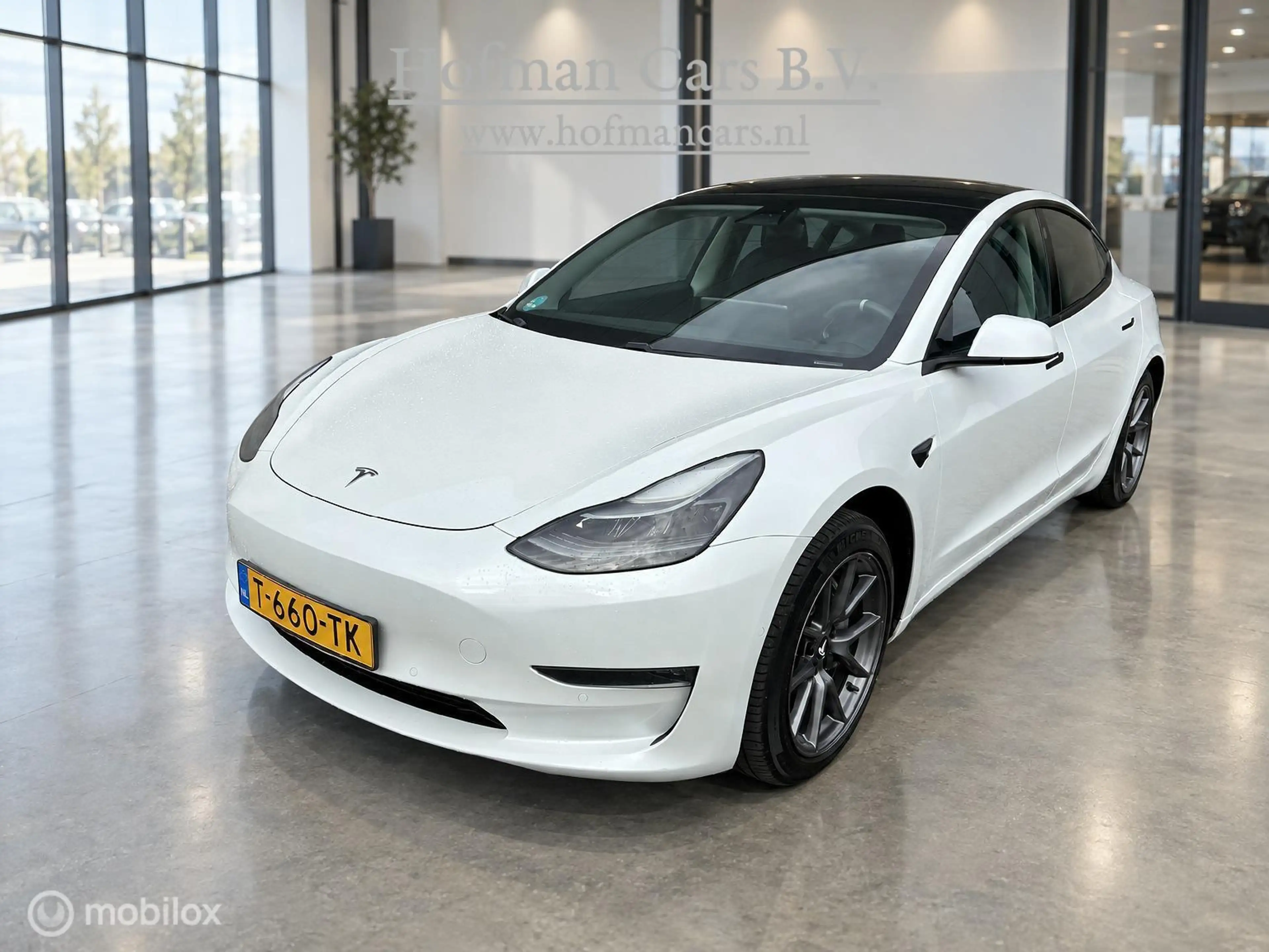 Tesla Model 3 Long Range AWD 75 kWh | DUAL MOTOR | TREKHAAK 1.00