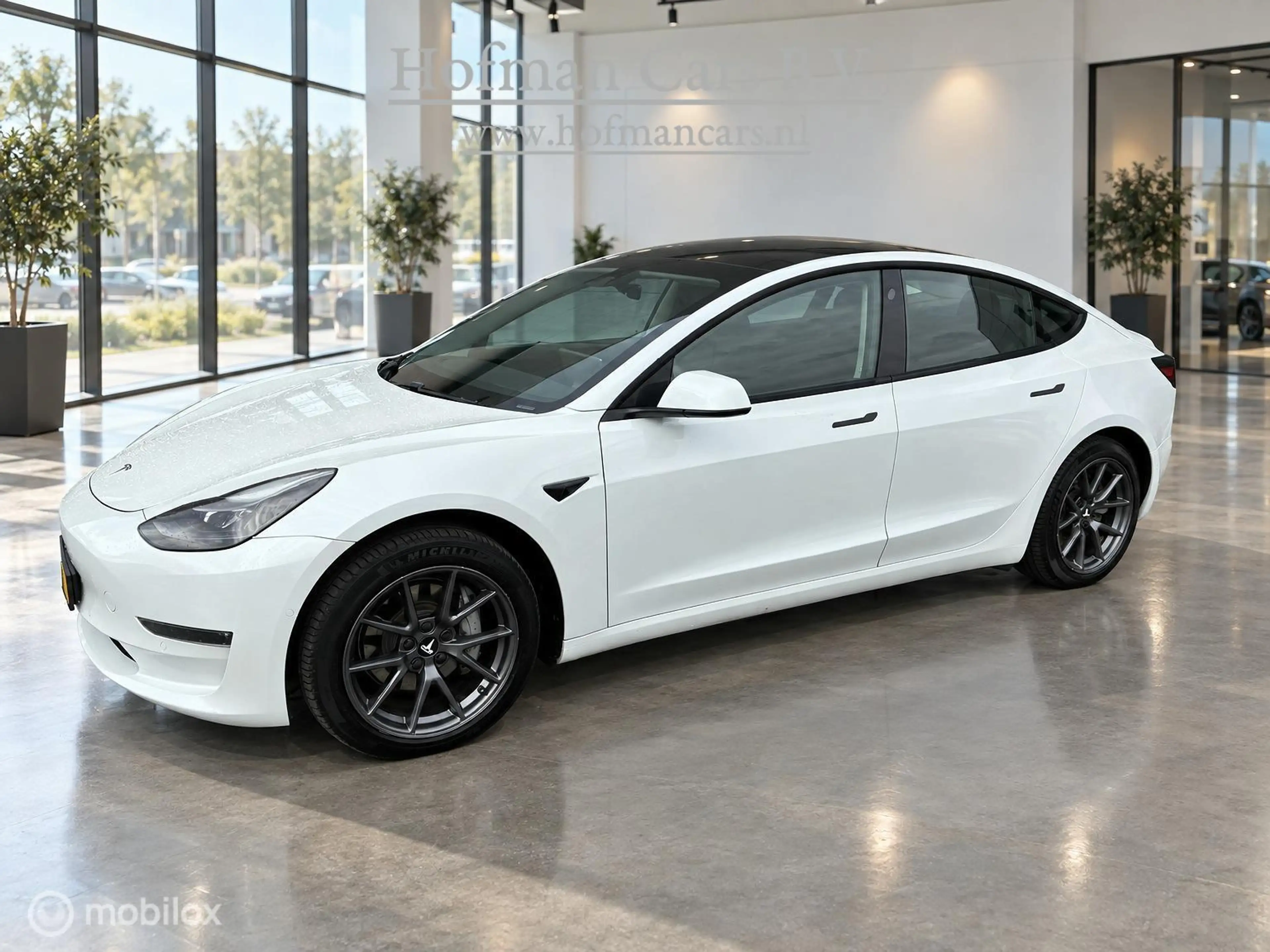 Tesla Model 3 Long Range AWD 75 kWh | DUAL MOTOR | TREKHAAK 1.00 — photo 3