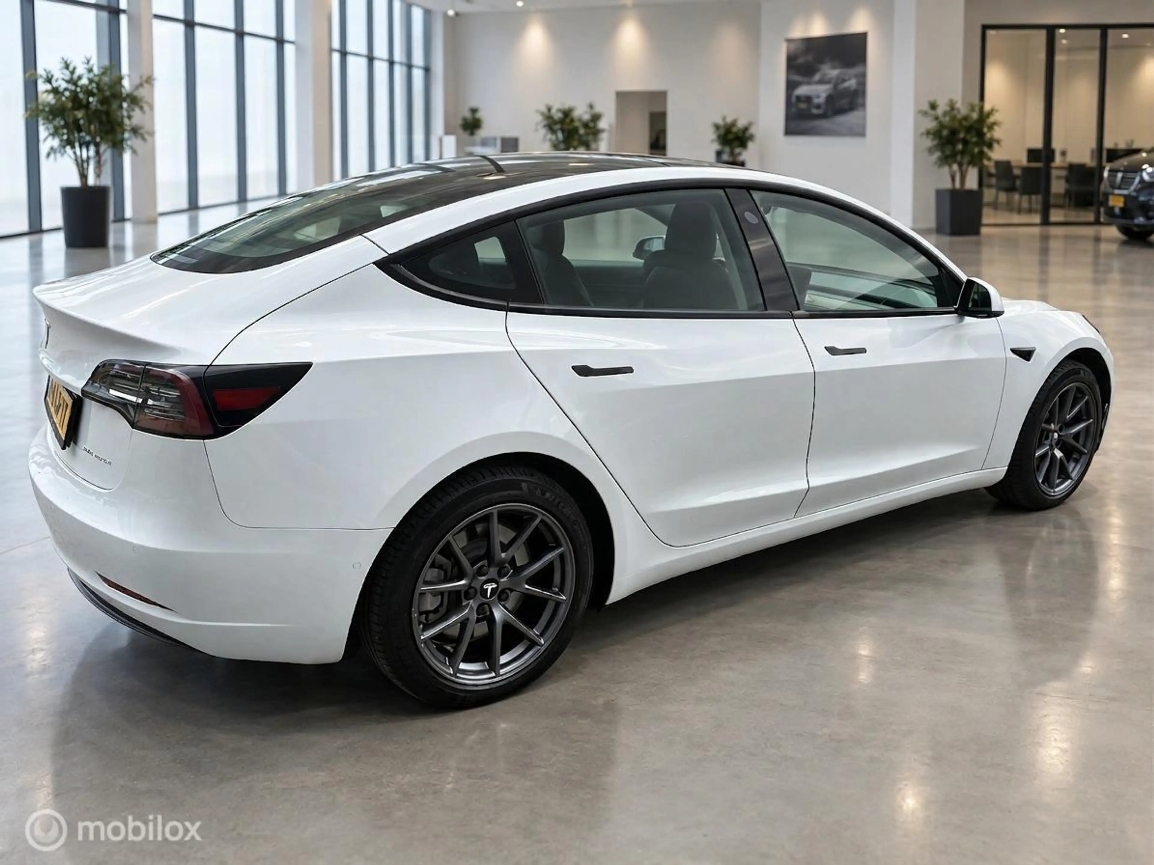 Tesla Model 3 Long Range AWD 75 kWh | DUAL MOTOR | TREKHAAK 1.00 — photo 5