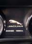 Jaguar XE - thumbnail 3