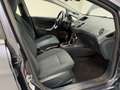Ford Fiesta Fiesta 1.4 96 CV Automatica 5Pt Titanium Gris - thumbnail 38