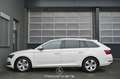 Skoda Superb 2.0 TDI Style Pickerl NEU Weiß - thumbnail 6
