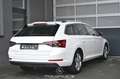 Skoda Superb 2.0 TDI Style Pickerl NEU Weiß - thumbnail 2