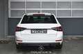 Skoda Superb 2.0 TDI Style Pickerl NEU Weiß - thumbnail 4