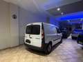 Renault Kangoo 1.5 blue dci Life 95cv my20 VAN Bianco - thumbnail 3
