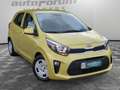 Kia Picanto 1.0 Edition 7 Emotion Klima+SHZ+BT Grün - thumbnail 3