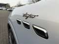 Maserati Grecale Trofeo 3.0 V6 530HP - Pano-Carbon-360 Bianco - thumbnail 9