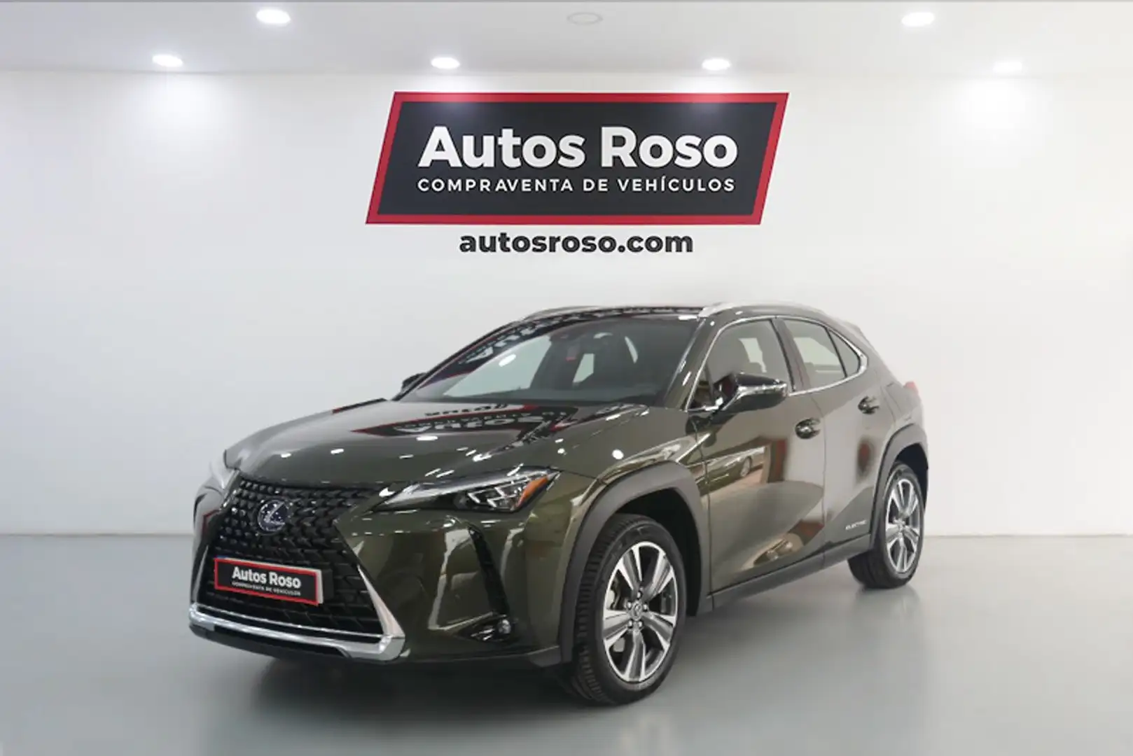 Lexus UX 300e Luxury Zelená - 1
