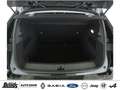 Renault Megane E-Tech EV60 130hp optimum charge Evolution WÄRMEPUMPE Schwarz - thumbnail 18