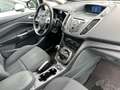 Ford C-Max 1.6 Titanium Gpl 120cv bombola fino 2034 Blanc - thumbnail 15