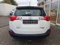 Toyota RAV 4 2.0 4x4 Life Weiß - thumbnail 6