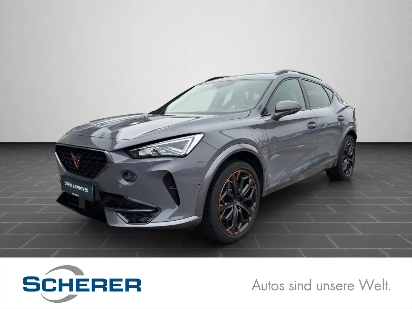CUPRA Formentor 1.4 e Hybrid VZ RFK SHZ KLIMA NAVI CAR Grau - 1