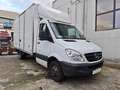 Mercedes-Benz Sprinter 316 CDI FURGONATO 2.2Cdi 163cv 3.5 t Bianco - thumbnail 1