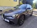 Alfa Romeo Stelvio Stelvio 2020 2.2 t Executive rwd 190cv auto Gris - thumbnail 1