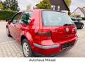 Volkswagen Golf Comfortline Rouge - thumbnail 7