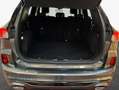 Ford Kuga 2.0 EcoBlue Aut. ST-LINE X Grau - thumbnail 8