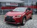 Lexus NX 300 h Executive Panodach*Sitzheizung*uvm Rot - thumbnail 1