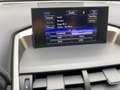 Lexus NX 300 h Executive Panodach*Sitzheizung*uvm Rot - thumbnail 12