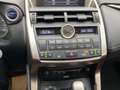 Lexus NX 300 h Executive Panodach*Sitzheizung*uvm Rot - thumbnail 13