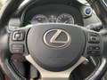 Lexus NX 300 h Executive Panodach*Sitzheizung*uvm Rot - thumbnail 17