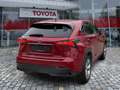 Lexus NX 300 h Executive Panodach*Sitzheizung*uvm Rot - thumbnail 4