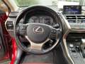 Lexus NX 300 h Executive Panodach*Sitzheizung*uvm Rot - thumbnail 11