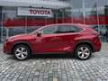 Lexus NX 300 h Executive Panodach*Sitzheizung*uvm Rot - thumbnail 2