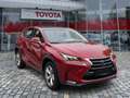 Lexus NX 300 h Executive Panodach*Sitzheizung*uvm Rot - thumbnail 5